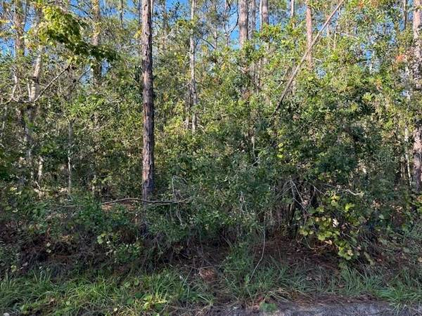 4637 KOLA RD, New Smyrna Beach, FL 32168