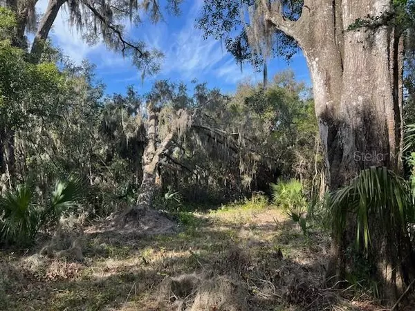 Deland, FL 32720,748 N RIDGEWOOD AVE