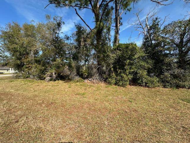 2931 LAKE HELEN OSTEEN RD, Deltona, FL 32738