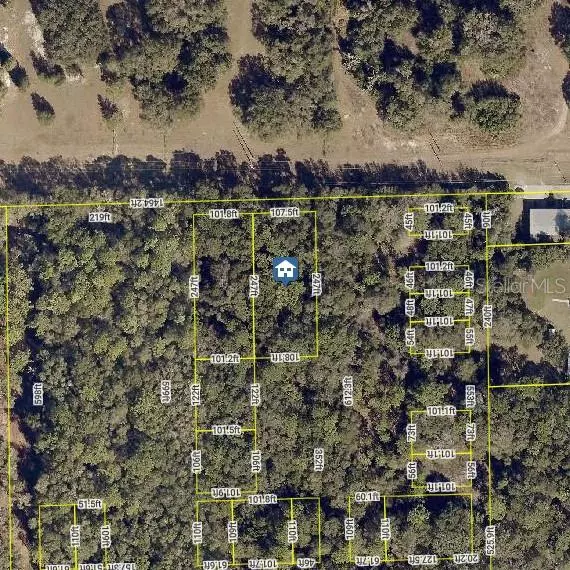 Orange City, FL 32763,NO STREET