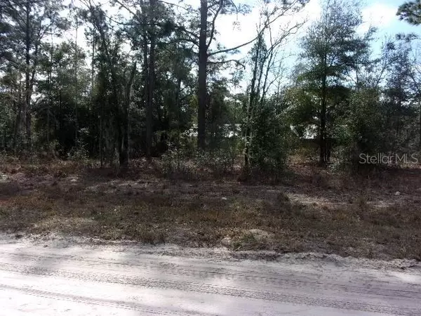 Ocala, FL 34481,SW 18TH PLACE