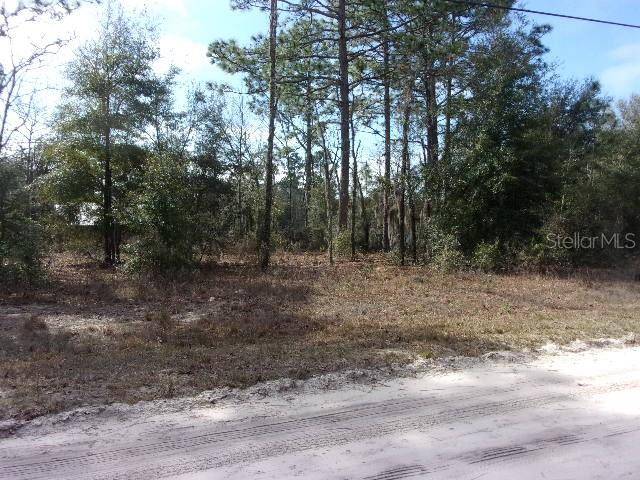 SW 18TH PLACE, Ocala, FL 34481