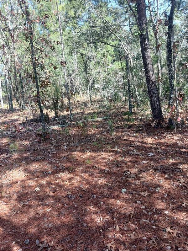 Lot 11 LAKE LUCY CIRCLE, Interlachen, FL 32148