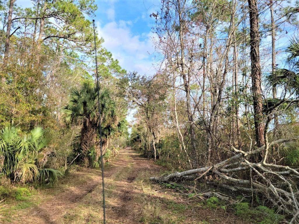 Deland, FL 32724,289 DELAND CROSSINGS BLVD