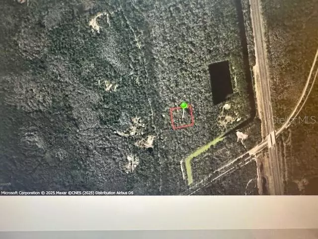 NONE RUN, Oak Hill, FL 32759