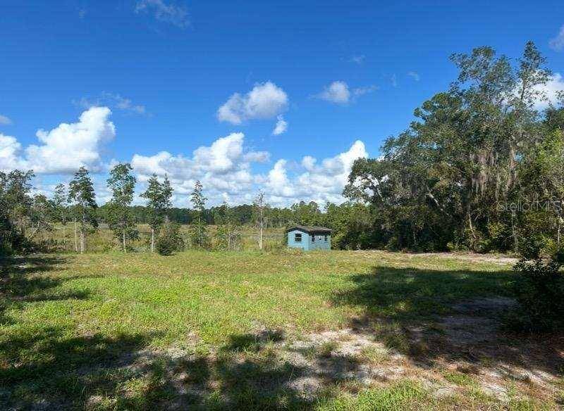 115 DIAMOND LAKE DR, Crescent City, FL 32112