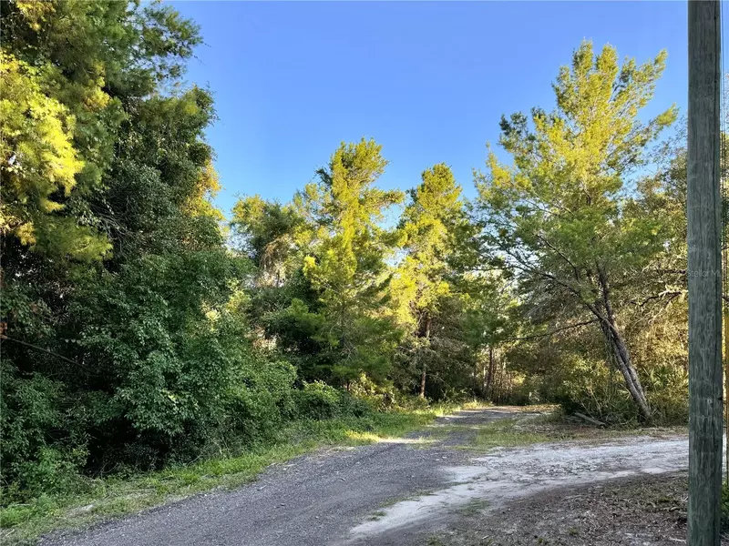 PHILADELPHIA AVE, De Leon Springs, FL 32130