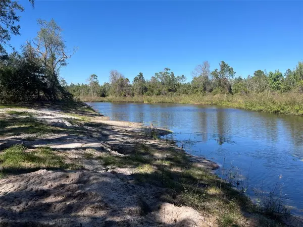 Pierson, FL 32180,00 SHAW LAKE RD