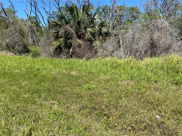 New Smyrna Beach, FL 32168,PARCEL NO 25 17 32 01 02 0280