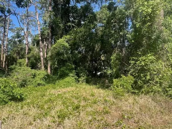 Deland, FL 32720,W TAYLOR RD