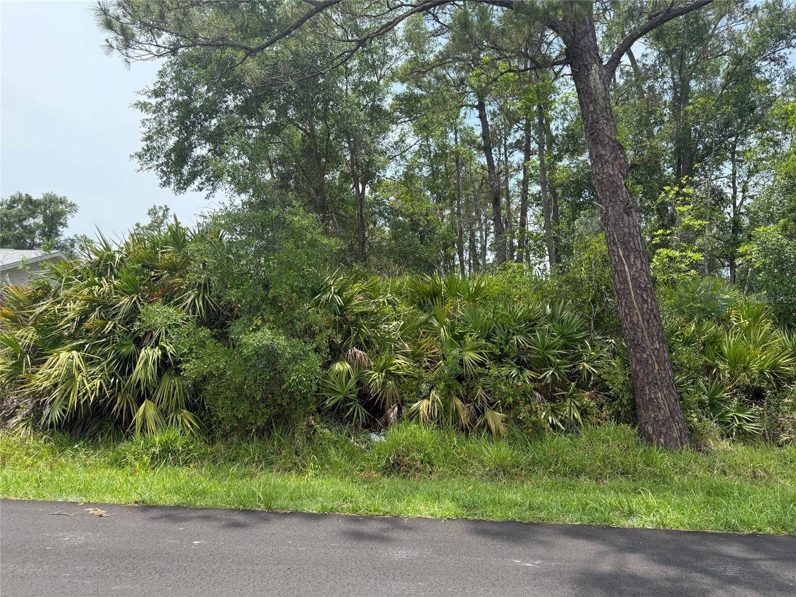 Deland, FL 32724,7TH AVE