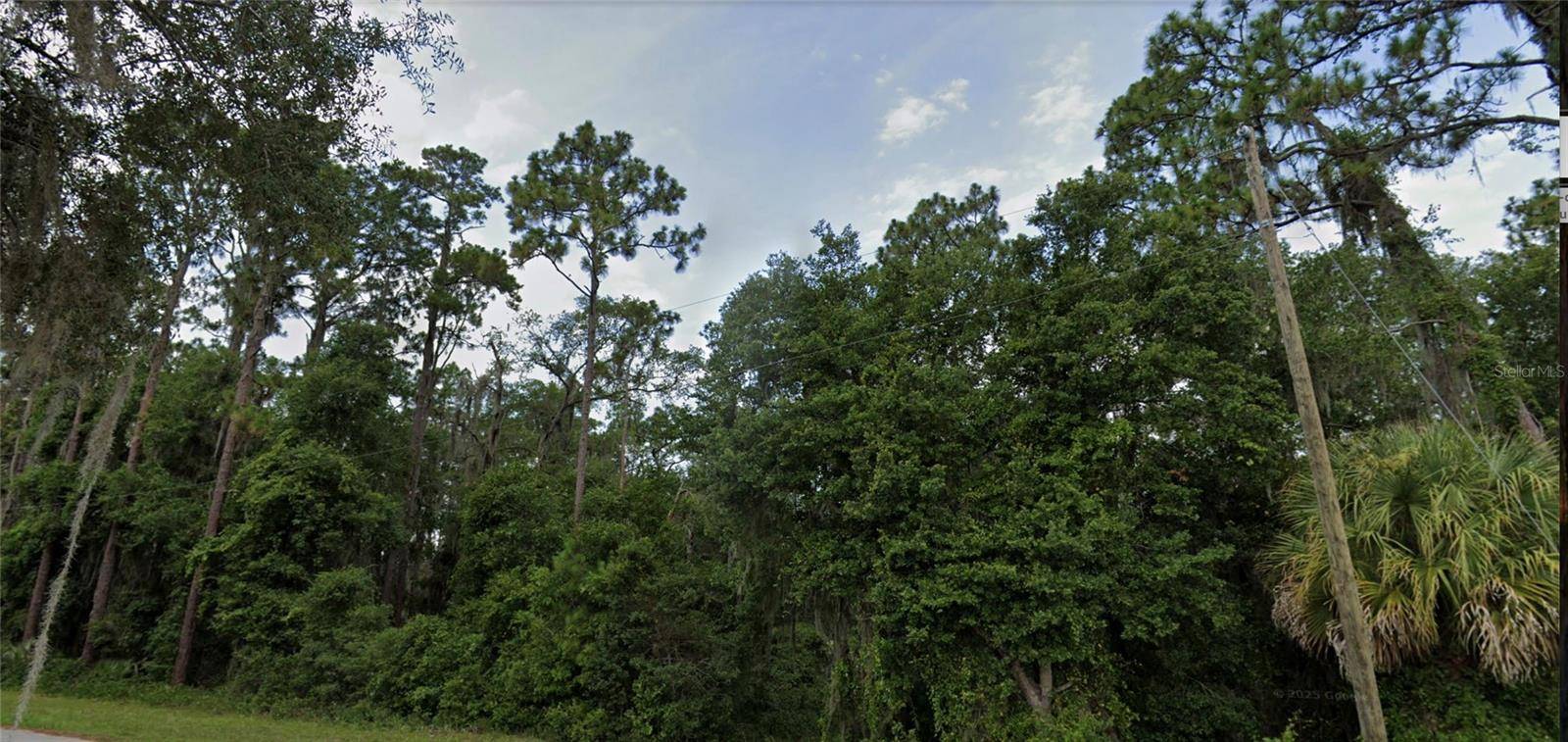 TBD SE 49TH STREET, Ocklawaha, FL 32179