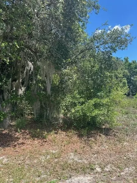 MARTA RD, Debary, FL 32713