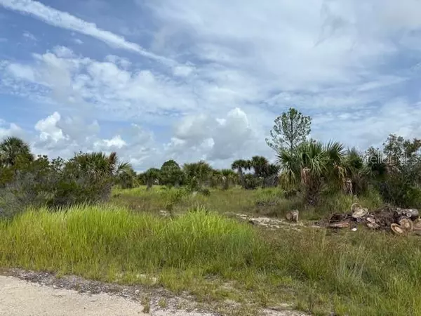 Palm Bay, FL 32908,2934 WAKOW CIR SW