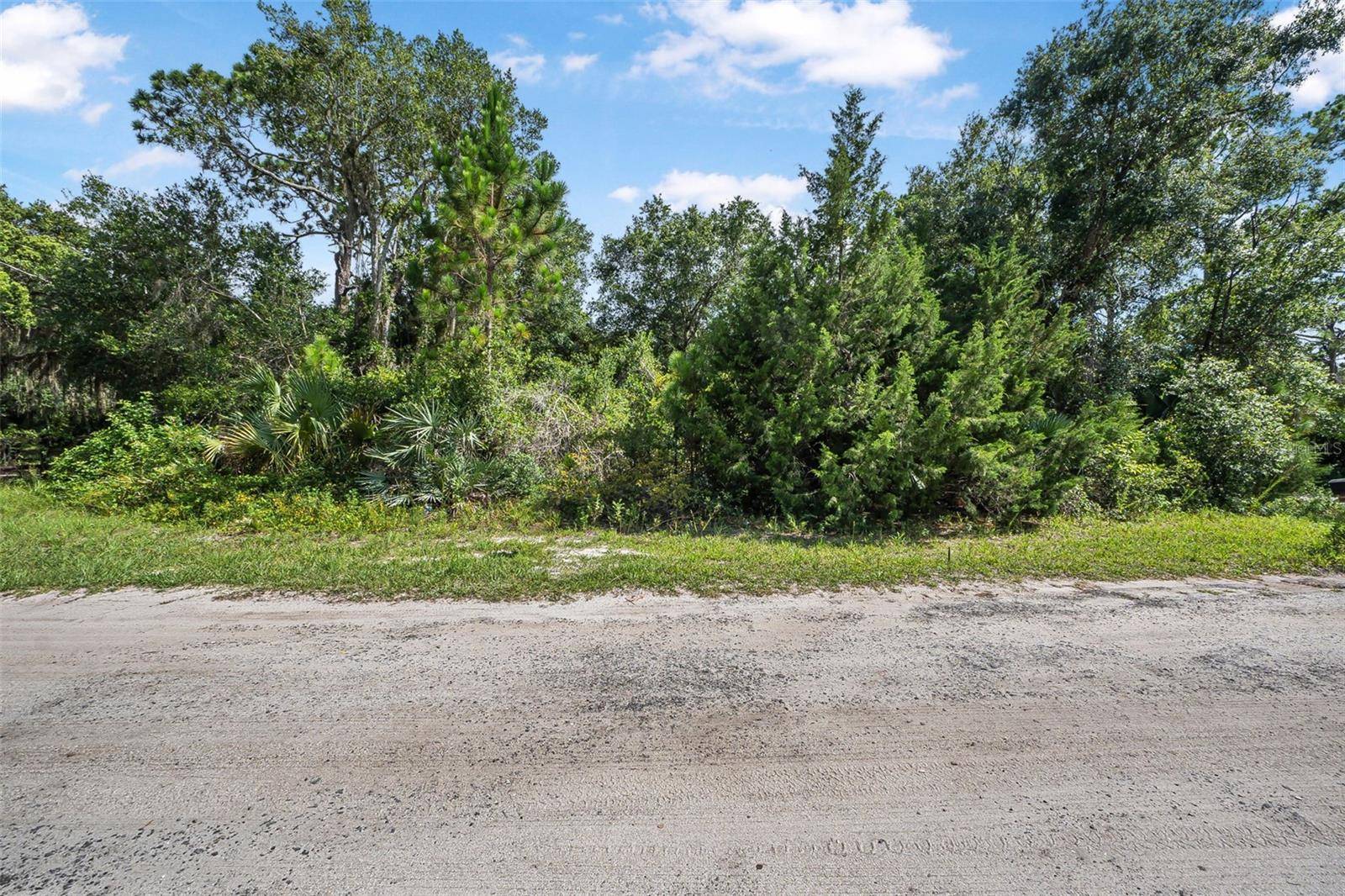 Oak Hill, FL 32759,0 NO STREET NAME