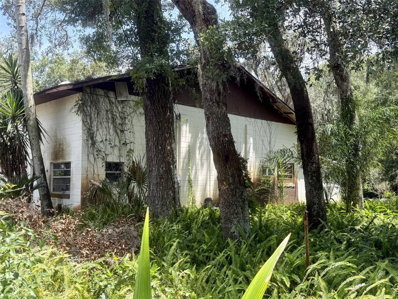 De Leon Springs, FL 32130,2555 PLACE POND RD