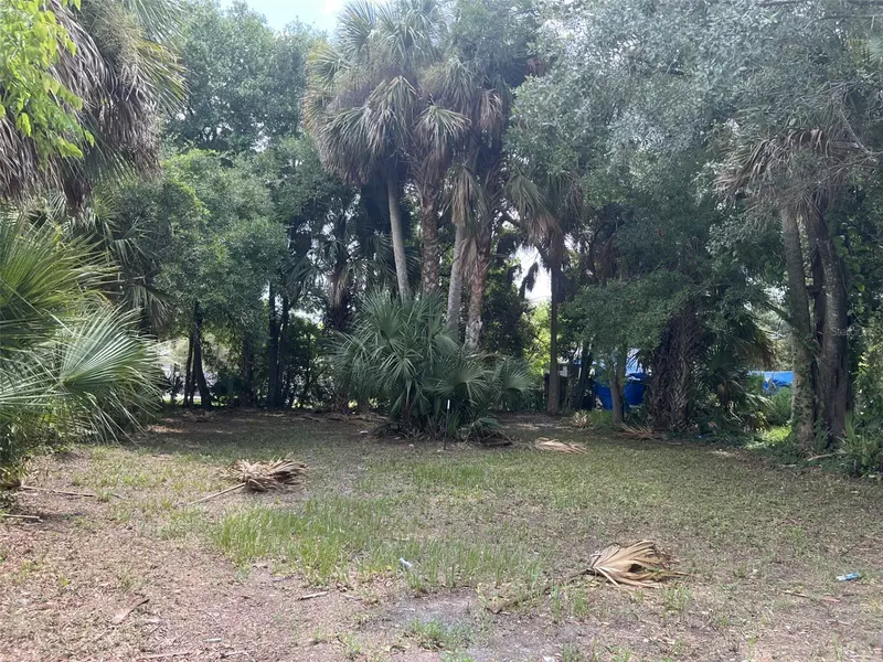 321 ROSE AVE, Daytona Beach, FL 32114