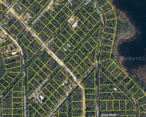 Satsuma, FL 32189,120 & 122 NORTH CAROLINA DR