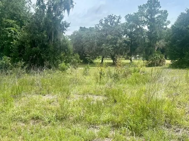 Crescent City, FL 32112,161 LIVE OAK CIR