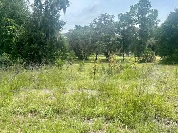 161 LIVE OAK CIR, Crescent City, FL 32112