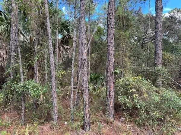 12TH AVE, Deland, FL 32724