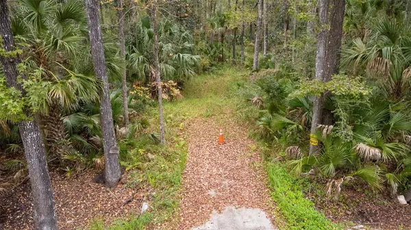 Oak Hill, FL 32759,1100 MAYTOWN RD