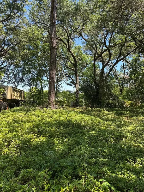 Groveland, FL 34736,14439 MASCOTTE EMPIRE RD