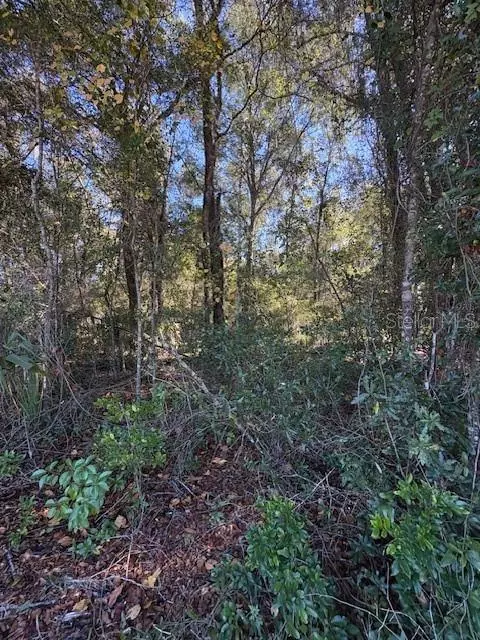 Deland, FL 32720,345 S RIDGEWOOD AVE