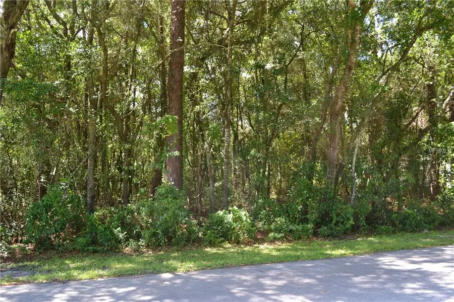 2550 E EARTH ST, Inverness, FL 34453