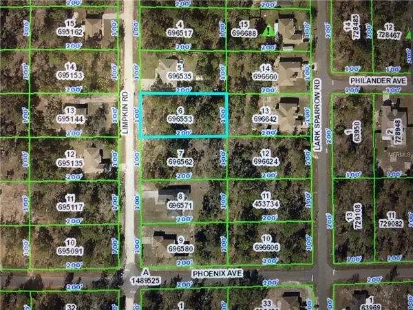 12006 LIMPKIN RD, Weeki Wachee, FL 34614