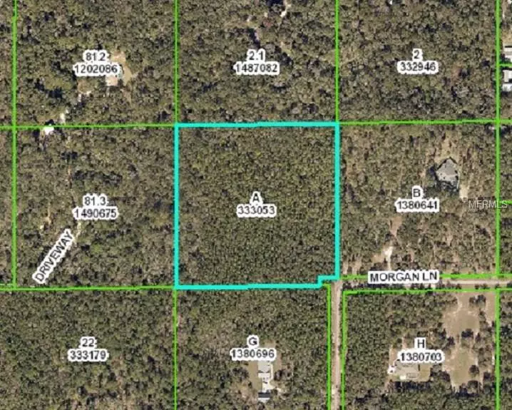 Brooksville, FL 34601,15101 MORGAN LN