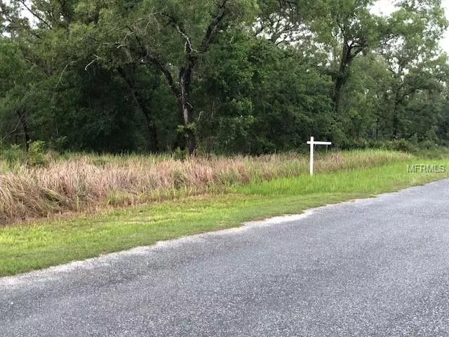 Weeki Wachee, FL 34614,13319 THRASHER AVE