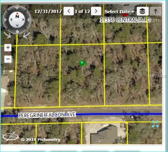 Weeki Wachee, FL 34614,12325 PEREGRINE FALCON AVE