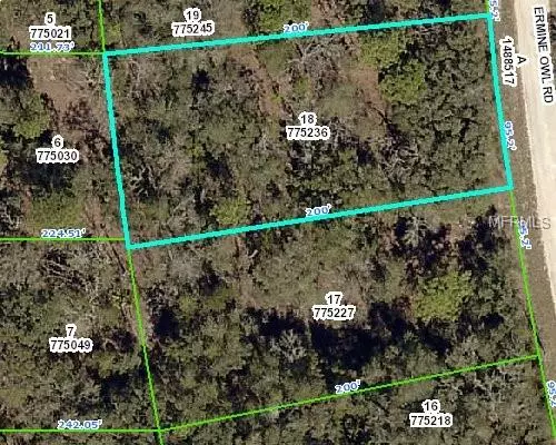 14381 ERMINE OWL RD, Weeki Wachee, FL 34614