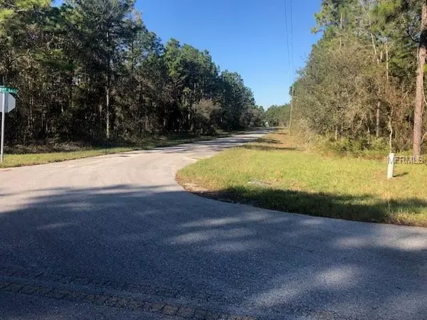 0 JUMPER LOOP (DIVINE LOT 17), Brooksville, FL 34609