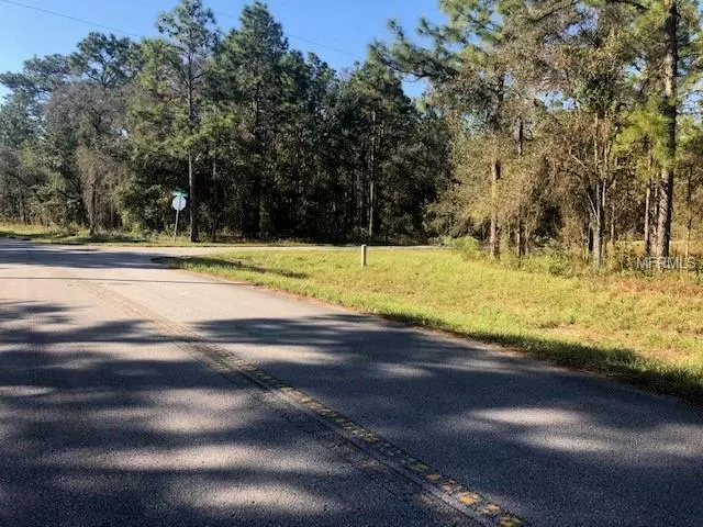 0 JUMPER LOOP (DIVINE LOT 24), Brooksville, FL 34609