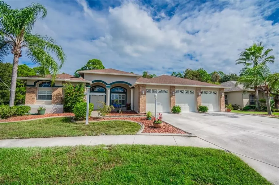 11311 WEDGEMERE DR, Trinity, FL 34655