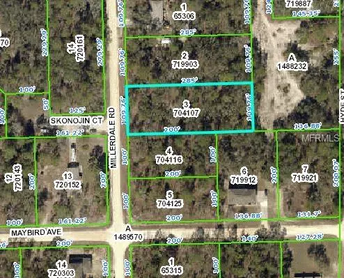 10480 MILLERDALE RD, Weeki Wachee, FL 34613