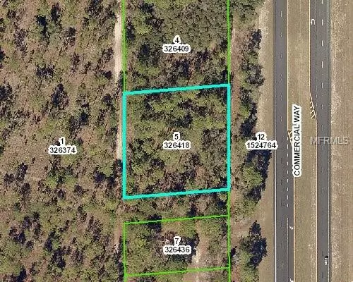 Weeki Wachee, FL 34614,000 COMMERCIAL WAY