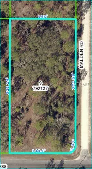 Weeki Wachee, FL 34614,16245 MALDEN RD