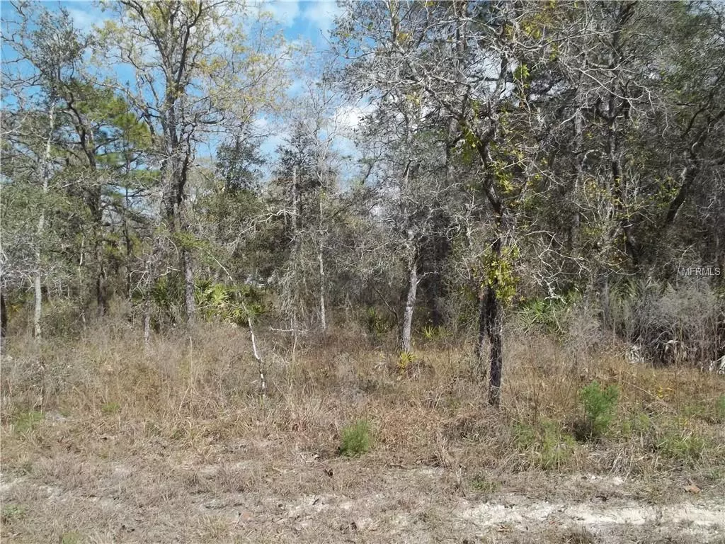 Weeki Wachee, FL 34614,GOLDFINCH RD