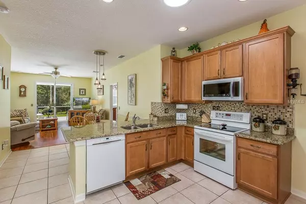 Land O Lakes, FL 34638,3128 GIANNA WAY