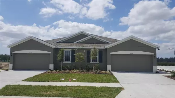 10623 HERON HIDEAWAY LOOP, Land O Lakes, FL 34638