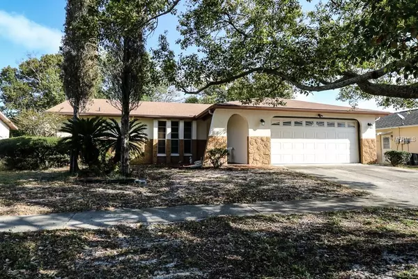 8741 SCHRADER BLVD, Port Richey, FL 34668