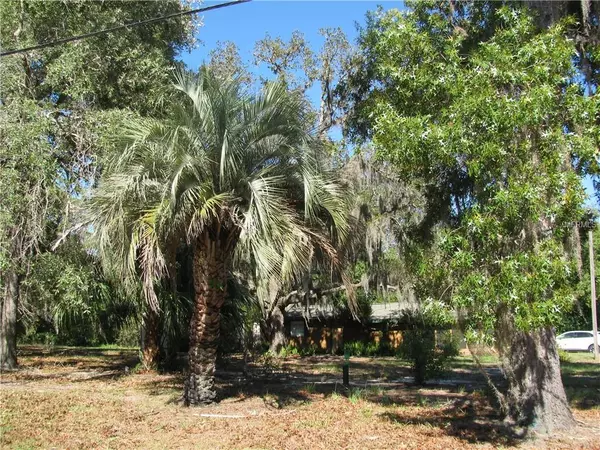 Weeki Wachee, FL 34607,8456 BALM ST