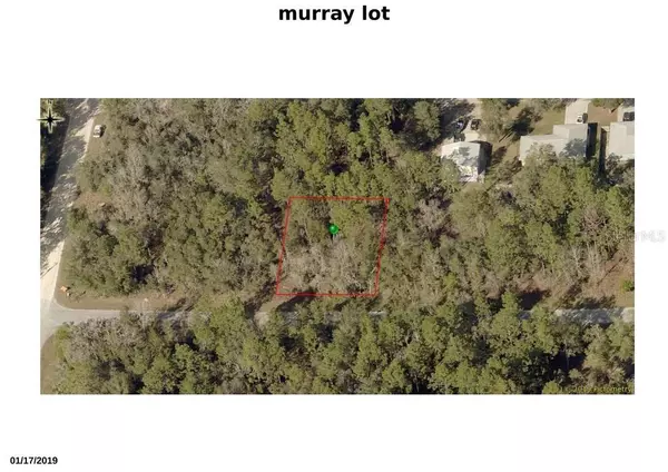 Inverness, FL 34453,3215 E MURRAY ST