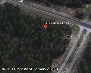 210 CYPRESS BLVD E, Homosassa, FL 34446