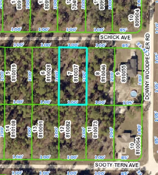 13382 SCHICK AVE, Weeki Wachee, FL 34614