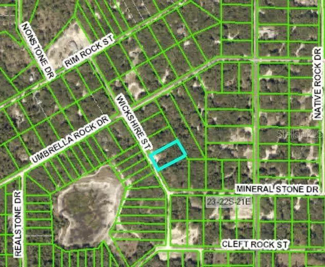 WICKSHIRE ST, Webster, FL 33597