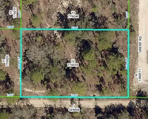 13417 GREBE RD, Weeki Wachee, FL 34614